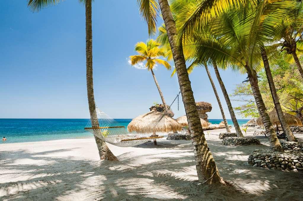 Anse Chastanet Resort Soufrière Natur bild