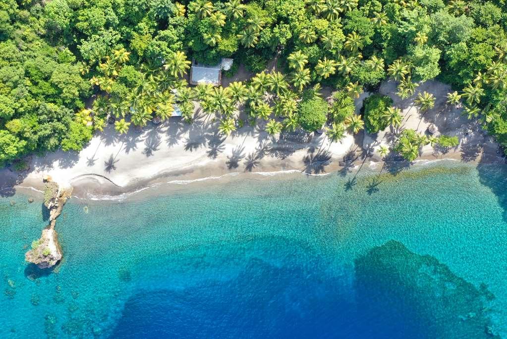 Anse Chastanet Resort Soufrière Natur bild